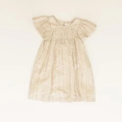 Zara Tan Striped Dress