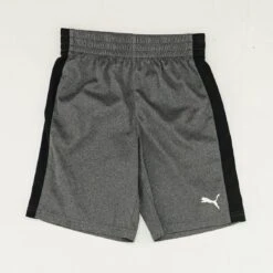 Puma Charcoal Color Block Bottom